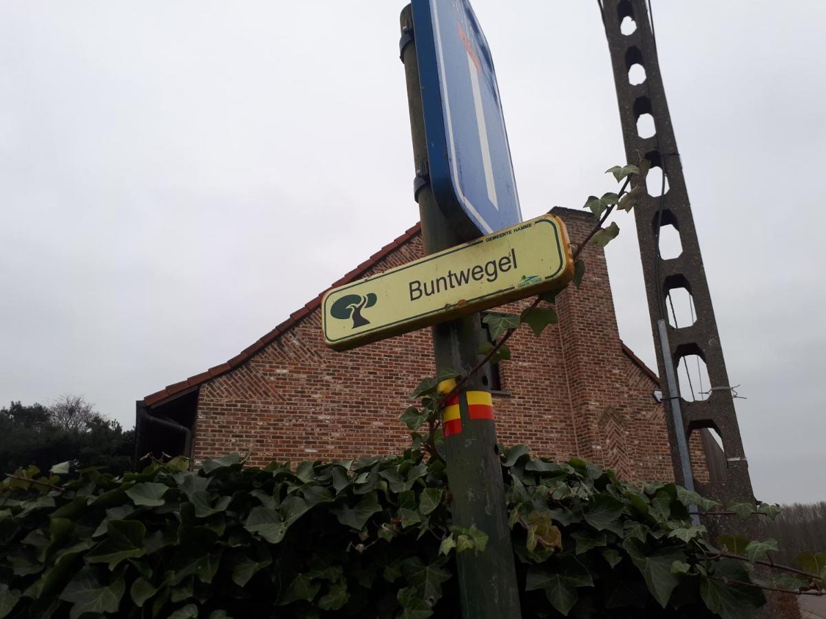 Vertentenhuis Hamme Exteriér fotografie